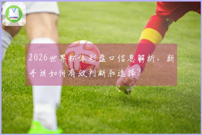 2026世界杯体彩盘口信息解析，新手该如何有效判断和选择？