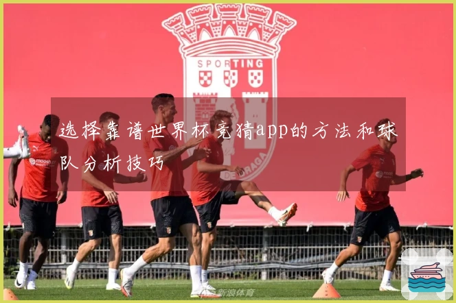 选择靠谱世界杯竞猜app的方法和球队分析技巧