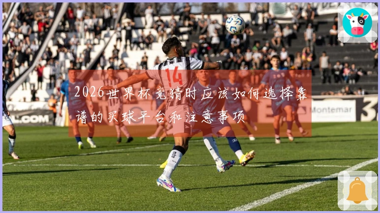 2026世界杯竞猜时应该如何选择靠谱的买球平台和注意事项
