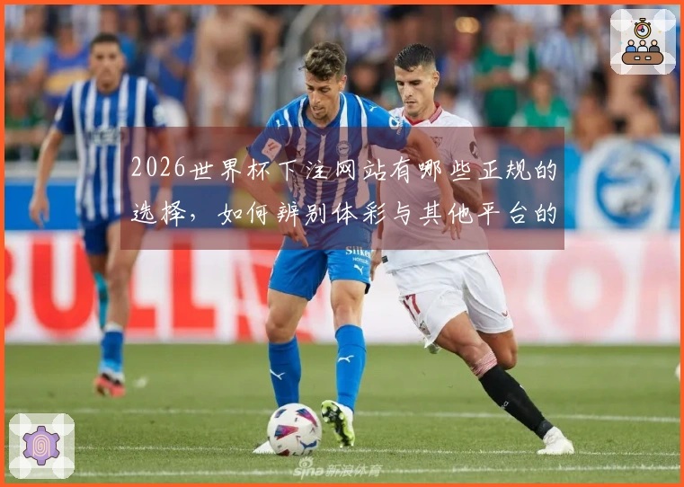 2026世界杯下注网站有哪些正规的选择，如何辨别体彩与其他平台的区别？