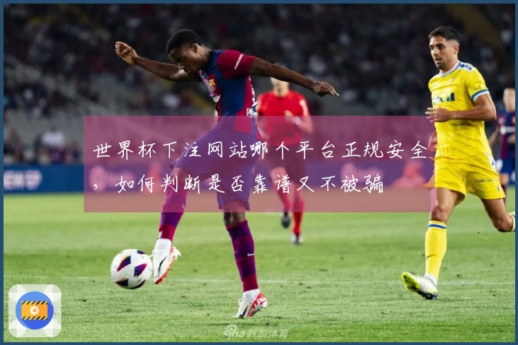 世界杯下注网站哪个平台正规安全，如何判断是否靠谱又不被骗