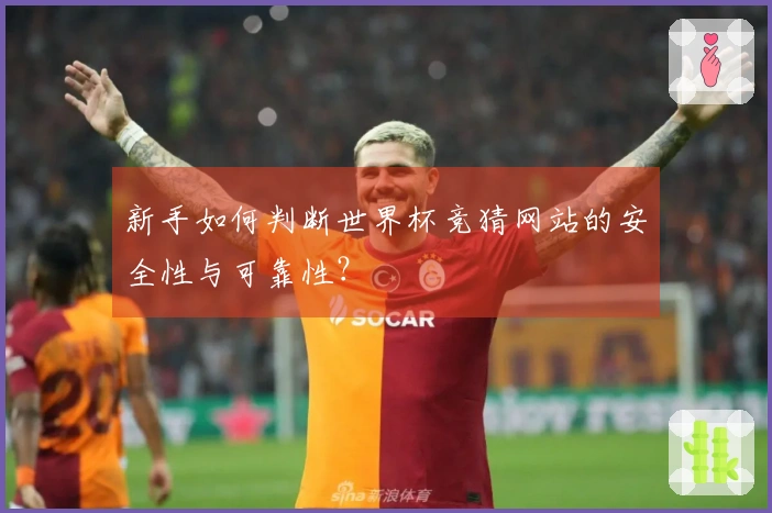 新手如何判断世界杯竞猜网站的安全性与可靠性？